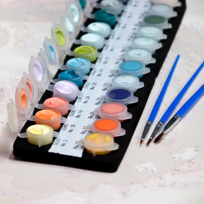Custom Paint by Numbers For Adults