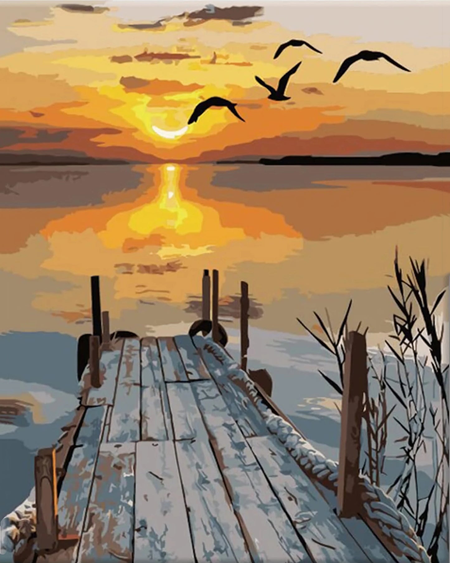 Paint by Numbers Kit for Adults，children，Beginner to Advanced