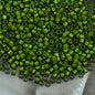 2.5mm 14g Small Japanese Beads Luster Colorful Small Craft