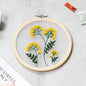 Transparent Double-Sided Embroidery Kit