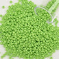 12Grams/Tube 2mm Metallic Seed Beads Japanese Round Glass Seedbeads 1200pcs
