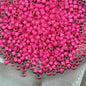 2.5mm 14g Small Japanese Beads Luster Colorful Small Craft