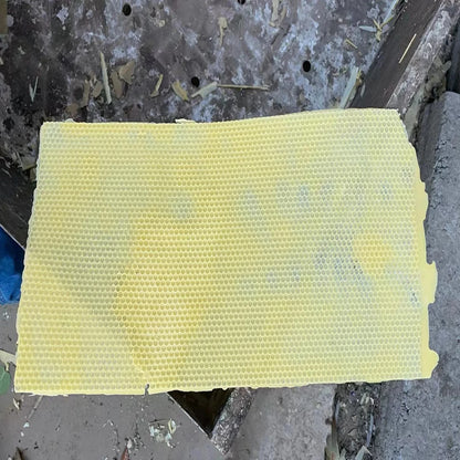 Beekeeper Soft PVC Beeswax Mold
