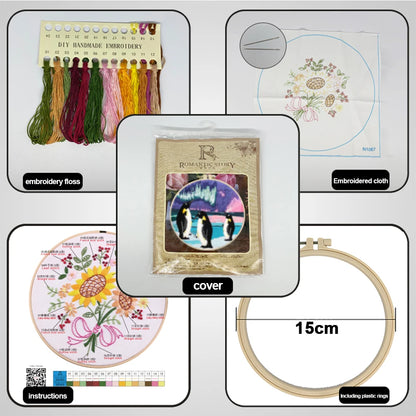 Aurora Stamped Cross Stitch Embroidery Kits with Hoop Cloth Color Thread
