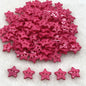 New 12mm-15mm-20mm Colours Five- Pointed Star with Two Eye Buttons