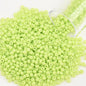 12Grams/Tube 2mm Metallic Seed Beads Japanese Round Glass Seedbeads 1200pcs