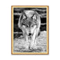 Meian Moon And Wolf DIY Embroidery 11CT Cross Stitch Kits